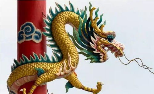 2026年属龙人适合投资或创业吗？