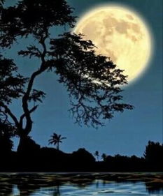 月圆之夜的诡异风水局与不可名状的窃窃私语