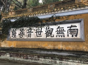 指定区域到底是哪儿？（请自行找错）