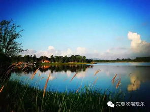 湖灵湖？就是个水坑吧！