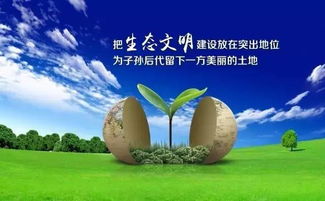 先别急着取名！你必须要了解这一些