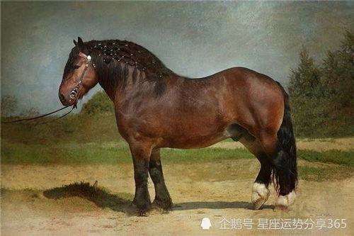 属马女性2026年事业运势如何，其运程具体意味着什么？
