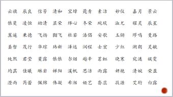 2026年有哪些好听的胡姓宝宝名字推荐？