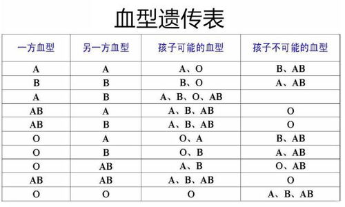 当代O型血の生存指南