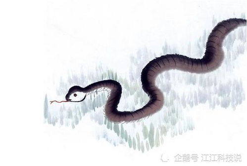 生肖蛇的算命书里，成格的命理含义具体是什么？