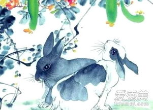 1996年出生属鼠的女性与属兔的男性结婚，他们的婚姻状况如何？