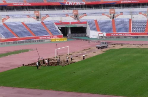 2026年黄历预测：球迷转运年？