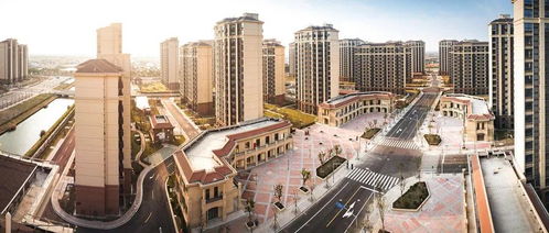 数据洞察：数字背后的游玩密码