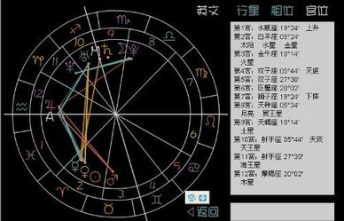 太阳丘：艺术家的白日梦