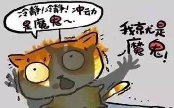 小老虎：霸道总裁幼年版