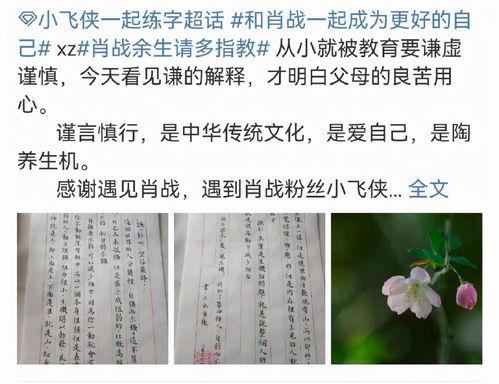 汉字“生”字的含义与现代化用法