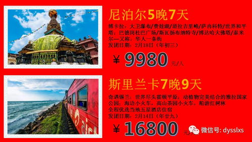 张谷英村搞事情：198元买年味是智商税吗？