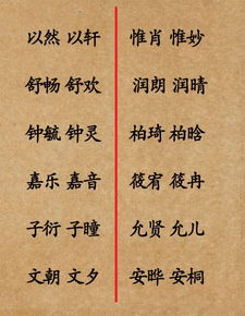 引经据典，取郑姓双胞胎名字