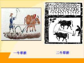 一、从刀耕火种到铁犁牛耕：农业生产变革的开端