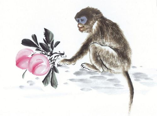 属猴2026年8月及每月财运具体分析是怎样的？