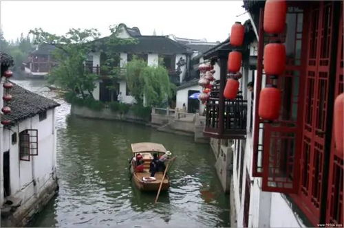 春风拂面 新南湖的胡说八道