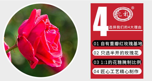 云南特产玫瑰价格是否亲民？