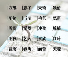 五行平衡与现代化取名