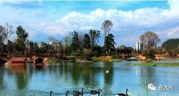 花果园湿地公园那是啥地方简直就是个迷宫啊