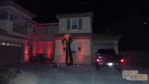 星座乱流：双子与蛇蝎的午夜纠缠