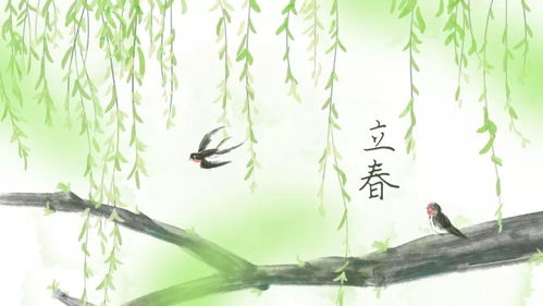 农民伯伯的噩梦：立春雨水的诅咒