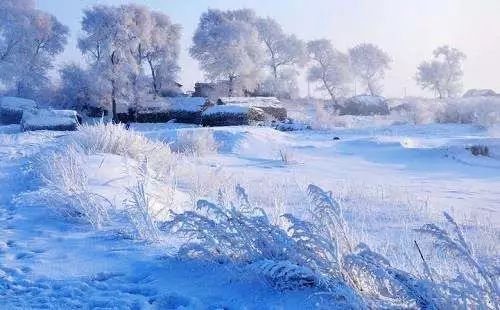 绝招二：热水续命大法