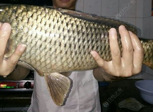 棺材？里面装的是什么？！