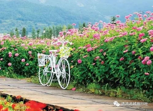 住宿惊魂记：我花3000块住进了鬼屋？