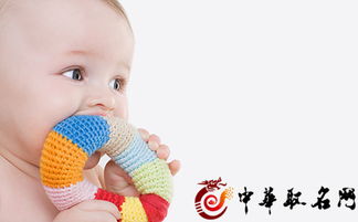 2）拟物化命名法：让宝宝变成一只“小猫咪”“小海豚”……。