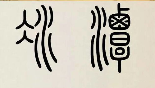 这些名字简直让人笑出猪叫