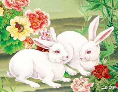 将花落春池打一生肖，是哪个生肖呢？