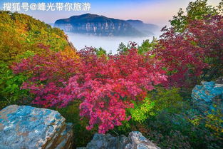 特色小吃：体验当地风味