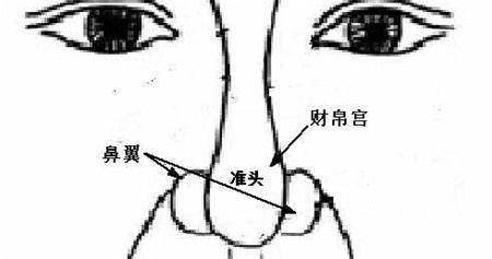 交际方式与行为表现