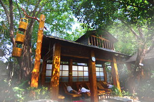 出发路上的那些破事儿哎不想提也罢