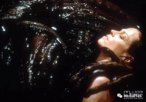 恐惧之花的悄然绽放