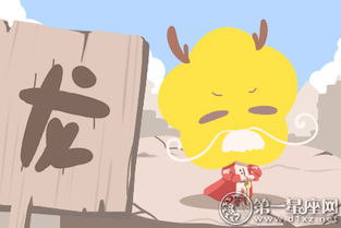 属龙女今天运势如何？生肖龙老年本命年送什么礼物最合适？
