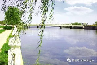月湖畔：雨后初霁与我的情绪崩塌