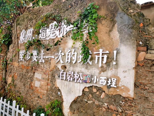 2.1 触目惊心的白骨