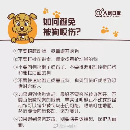 辟谷作死三件套：从入门到住院