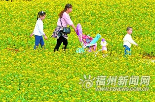 随手写点感受——情感随意流淌（真的彳艮随意）