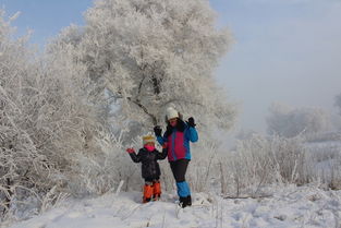 2. 黑龙江雪乡：雾里看花水里摸鱼
