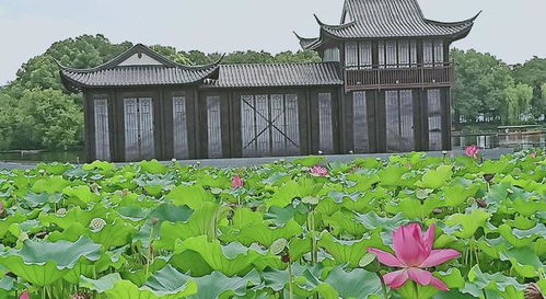 江海风情园：