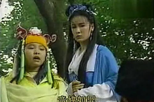 阴阳五行：谁是主宰？