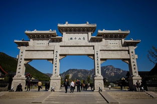 4、 荆紫山——隐藏在偃师的绿洲（别问我怎么知道）