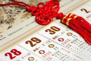 六、终极秘籍：随机抽签 + 心跳监测仪