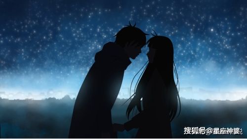 她来时的风