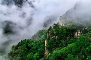 森林浴的好处