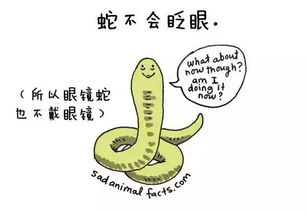 一、左眼皮跳动的心灵密码：身体在向你悄悄传递什么秘密