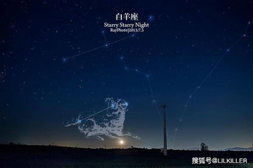 白羊座：热血沸腾的暴走小火箭