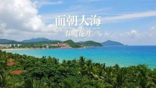哎呀，说走就走，海南五日游，这热带风情简直绝了！
